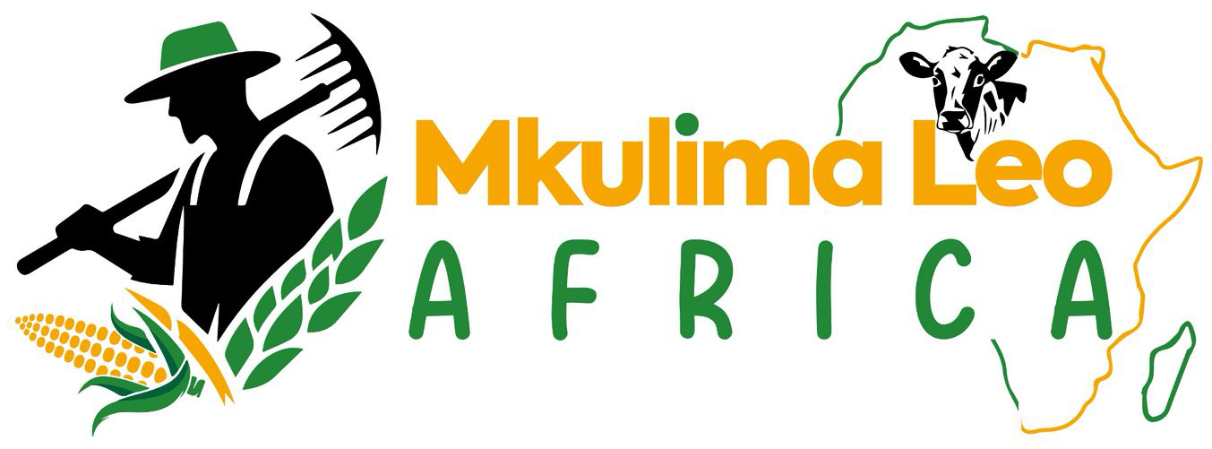 Mkulima Leo Africa logo